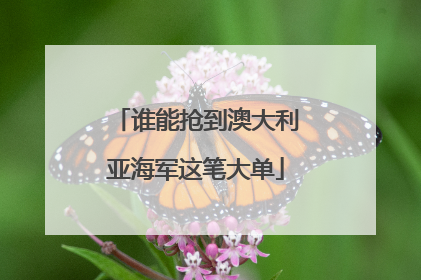 谁能抢到澳大利亚海军这笔大单