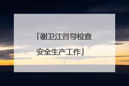 谢卫江督导检查安全生产工作