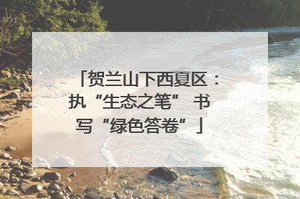 贺兰山下西夏区：执“生态之笔” 书写“绿色答卷”