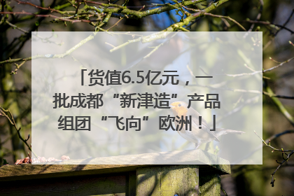 货值6.5亿元，一批成都“新津造”产品组团“飞向”欧洲！