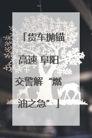 货车抛锚高速 阜阳交警解“燃油之急”