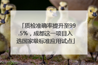 质检准确率提升至99.5%，成都这一项目入选国家级标准应用试点
