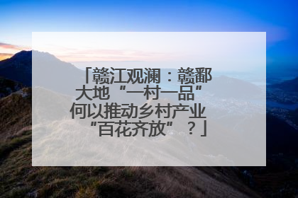 赣江观澜：赣鄱大地“一村一品”何以推动乡村产业“百花齐放”？