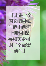 走进“全国文明村镇”庐山西海上畈村 探寻和美乡村的“幸福密码”
