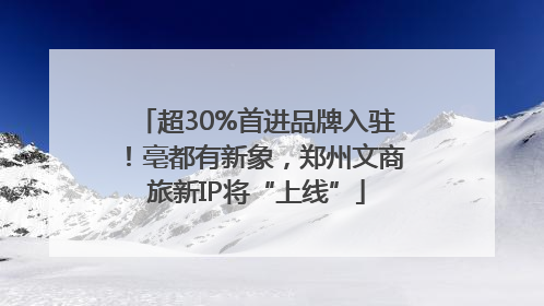 超30%首进品牌入驻！亳都有新象，郑州文商旅新IP将“上线”