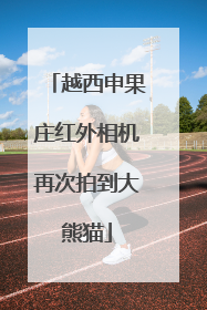 越西申果庄红外相机再次拍到大熊猫