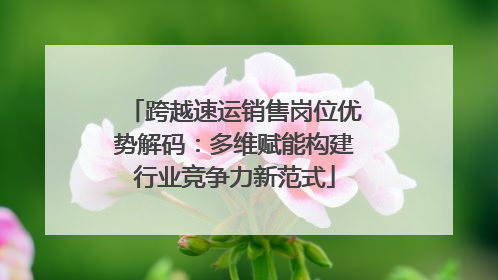 跨越速运销售岗位优势解码：多维赋能构建行业竞争力新范式