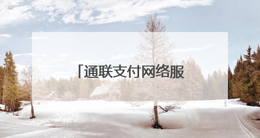通联支付网络服务股份有限公司以保付通数经平台助保险业数字升级