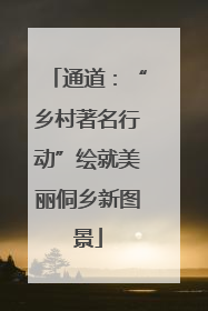 通道：“乡村著名行动”绘就美丽侗乡新图景