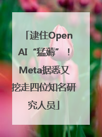 逮住OpenAI“猛薅”！Meta据悉又挖走四位知名研究人员