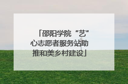 邵阳学院“艺”心志愿者服务站助推和美乡村建设