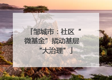 邹城市：社区“微基金”撬动基层“大治理”