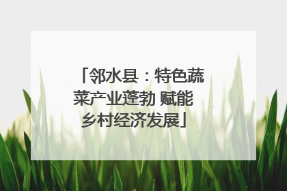 邻水县：特色蔬菜产业蓬勃 赋能乡村经济发展