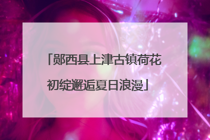 郧西县上津古镇荷花初绽邂逅夏日浪漫