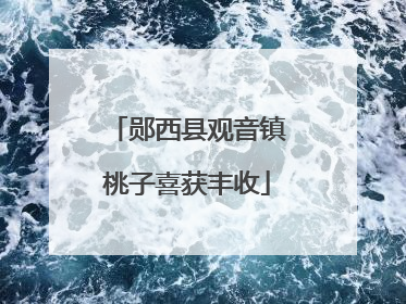 郧西县观音镇桃子喜获丰收