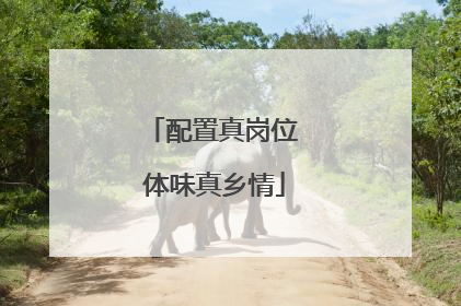 配置真岗位 体味真乡情