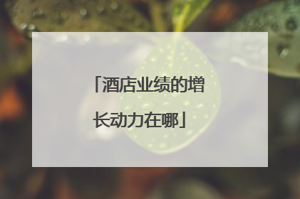 酒店业绩的增长动力在哪