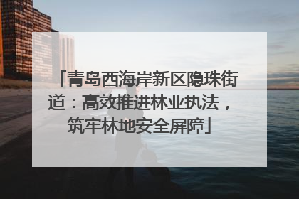 青岛西海岸新区隐珠街道：高效推进林业执法，筑牢林地安全屏障
