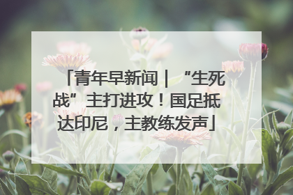 青年早新闻｜“生死战”主打进攻！国足抵达印尼，主教练发声