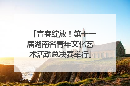 青春绽放！第十一届湖南省青年文化艺术活动总决赛举行