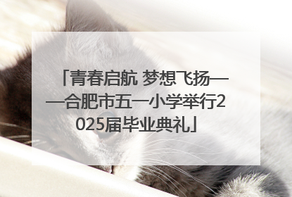 青春启航 梦想飞扬——合肥市五一小学举行2025届毕业典礼