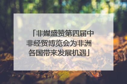 非媒盛赞第四届中非经贸博览会为非洲各国带来发展机遇