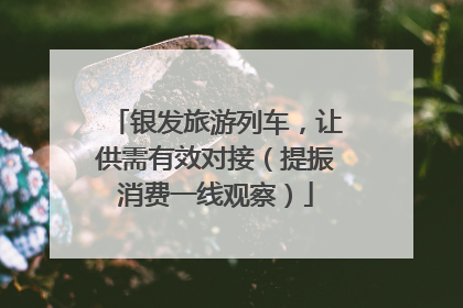 银发旅游列车，让供需有效对接（提振消费一线观察）