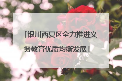 银川西夏区全力推进义务教育优质均衡发展