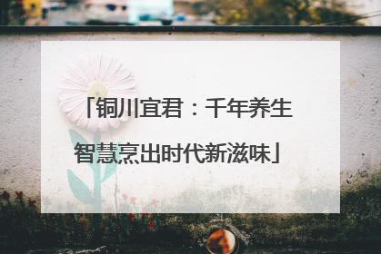 铜川宜君：千年养生智慧烹出时代新滋味