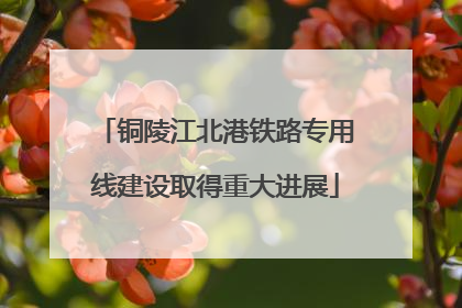 铜陵江北港铁路专用线建设取得重大进展