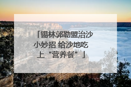 锡林郭勒盟治沙小妙招 给沙地吃上“营养餐”