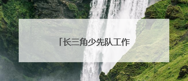 长三角少先队工作者开展交流活动