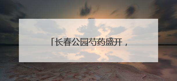 长春公园芍药盛开，演绎初夏浪漫华章