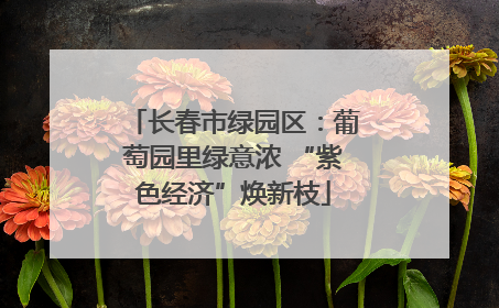 长春市绿园区：葡萄园里绿意浓 “紫色经济”焕新枝