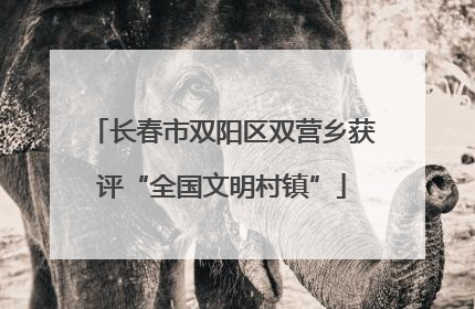 长春市双阳区双营乡获评“全国文明村镇”