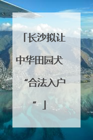 长沙拟让中华田园犬“合法入户”