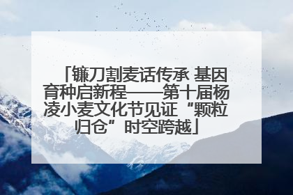 镰刀割麦话传承 基因育种启新程——第十届杨凌小麦文化节见证“颗粒归仓”时空跨越