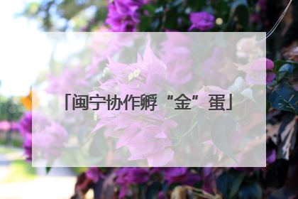闽宁协作孵“金”蛋