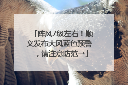 阵风7级左右！顺义发布大风蓝色预警，请注意防范→