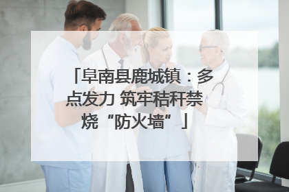 阜南县鹿城镇：多点发力 筑牢秸秆禁烧“防火墙”