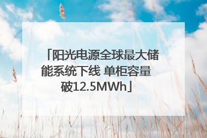 阳光电源全球最大储能系统下线 单柜容量破12.5MWh