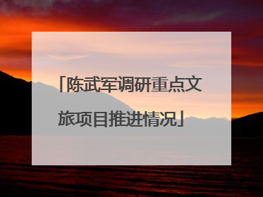 陈武军调研重点文旅项目推进情况