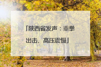 陕西省发声：重拳出击、高压震慑