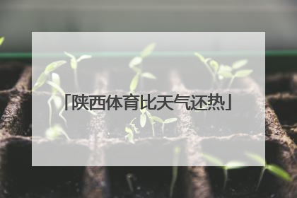 陕西体育比天气还热