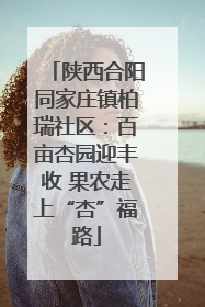 陕西合阳同家庄镇柏瑞社区：百亩杏园迎丰收 果农走上“杏”福路
