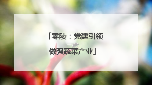 零陵：党建引领 做强蔬菜产业