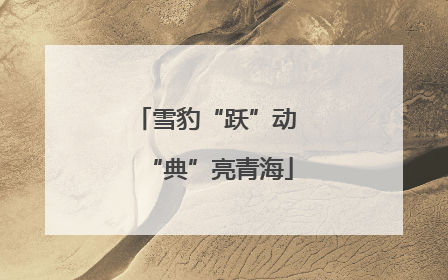 雪豹“跃”动 “典”亮青海