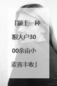 颍上一种粮大户3000余亩小麦喜丰收