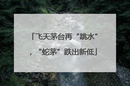 飞天茅台再“跳水”，“蛇茅”跌出新低