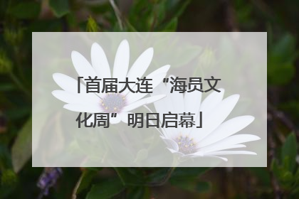 首届大连“海员文化周”明日启幕